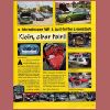 VW Golf Scene-03.03-2.jpg